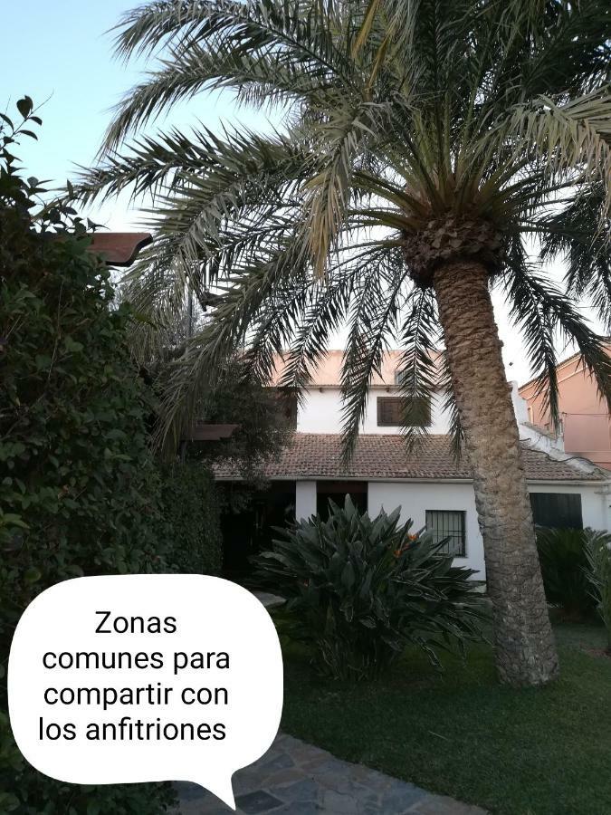 Sun & Palm Trees Apartment Balsares Ngoại thất bức ảnh