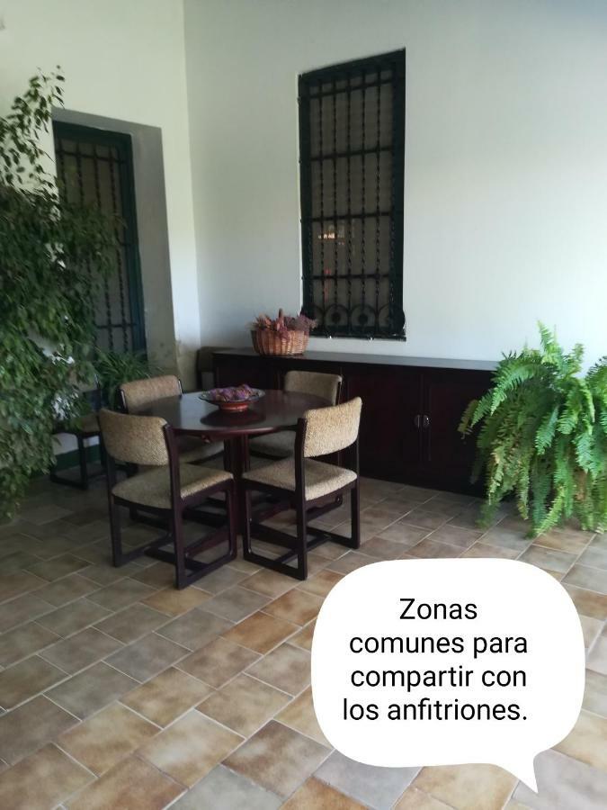 Sun & Palm Trees Apartment Balsares Ngoại thất bức ảnh